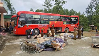 Xe khách giường nằm vận chuyển gỗ lậu
