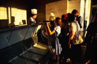 Cải tổ - vùng mắt bão