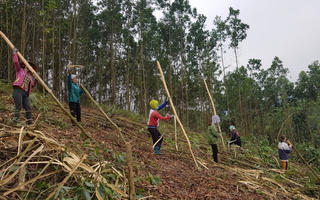 Diện mạo mới của vùng dân tộc thiểu số