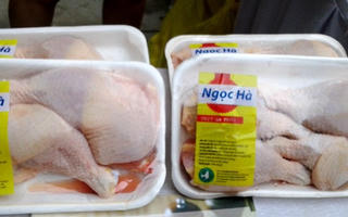 Nghịch lý giá gà công nghiệp