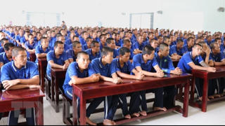 Những trường hợp nào phải cai nghiện bắt buộc?