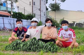 Nhóm nam sinh viên trồng rau hỗ trợ người dân vùng dịch