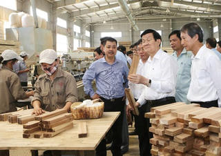 Chủ tịch nước Trương Tấn Sang: Đầu tư trồng rừng để người dân sống được nhờ rừng
