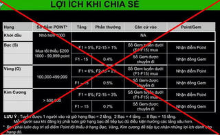 Bộ Công an tìm người bị hại trong vụ huy động vốn đa cấp của Công ty Hoàng Long