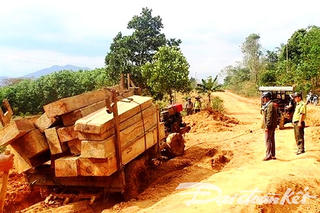 Đắk Lắk đình chỉ công tác Giám đốc Công ty lâm nghiệp để mất rừng