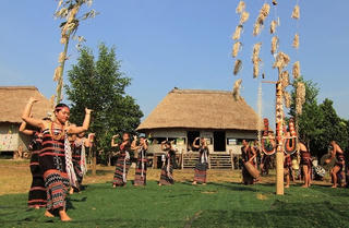 Làng và những sắc hoa