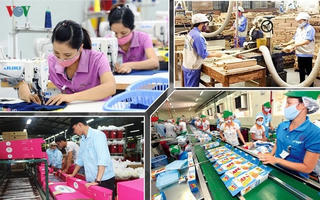 Từ 1/8, nhiều mặt hàng chủ lực của Việt Nam được hưởng lợi từ EVFTA