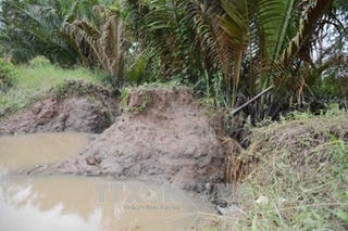 Sóc Trăng: Triều cường dâng cao bất ngờ tại Cù Lao Dung