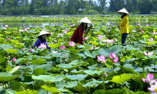 Khởi nghiệp từ 'tâm'