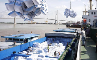 Nâng tầm cho hạt gạo