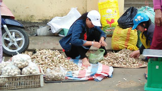Mang tỏi nơi khác đến Lý Sơn để bán dưới mác ‘tỏi Lý Sơn’