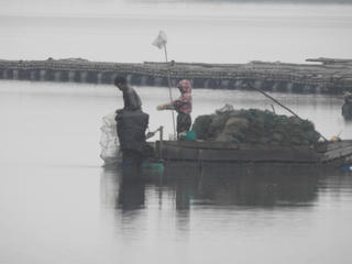 ‘Lồng bát quái’ tận diệt thủy sản