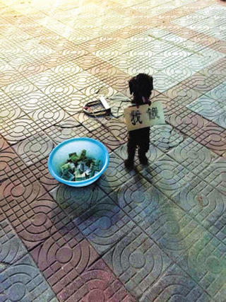 Bắt chó đeo biển, đứng bằng hai chân ăn xin