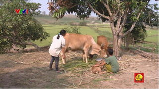 Nỗi đau của người phụ nữ Quảng Bình hai lần tiễn chồng và con về bên kia thế giới