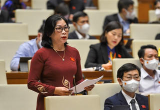 ĐBQH lưu ý phòng ngừa tham nhũng trong mua sắm, chi phí chống dịch