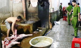 Phát hiện cơ sở giết mổ heo giả dấu kiểm dịch