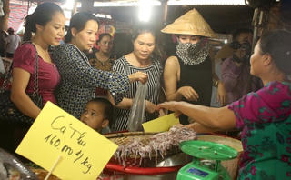 Hà Tĩnh đưa hải sản sạch đến người tiêu dùng
