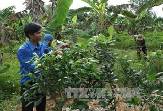 Khởi nghiệp từ vùng đất bỏ hoang