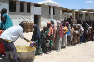Nguy cơ nạn đói xảy ra tại Somalia do hạn hán kinh hoàng