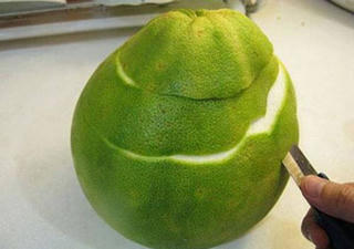 Đừng vứt bỏ vỏ bưởi