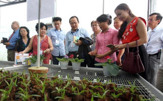 Mãi mãi là con Lạc, cháu Hồng