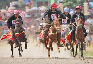 Giải đua ngựa truyền thống huyện Bắc Hà (Lào Cai): 106 con ngựa tham gia đua và diễu hành