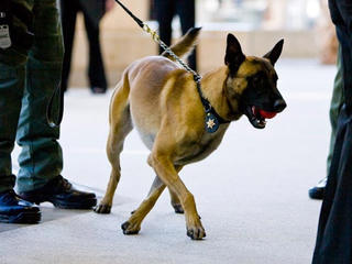 CIA quên chất nổ trên xe buýt chở học sinh