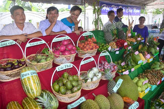 Náo nức Lễ hội sông nước miệt vườn ở xứ cù lao