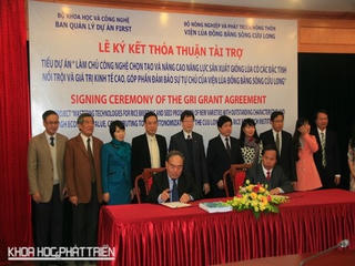Hơn 3 triệu USD chọn giống lúa tốt