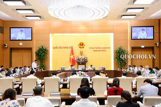 Tinh giản biên chế chưa chú trọng chất lượng