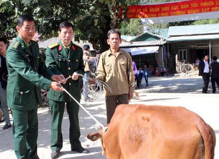 Viettel tặng gần 3.000 con bò giống cho hộ nghèo
