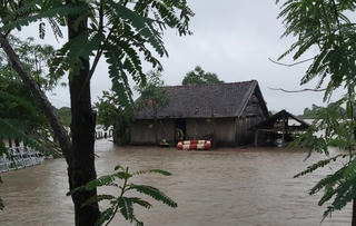 Tây Nguyên: Mưa lớn kéo dài gây thiệt hại nặng nề cho người dân