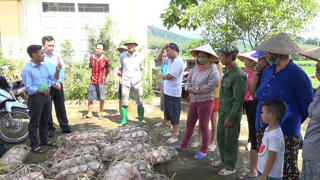 Quảng Ninh: Gấp rút hoàn thành Chương trình 135