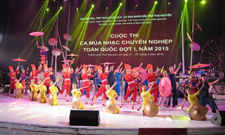 Thi nghệ thuật ca múa nhạc chuyên nghiệp toàn quốc 2015