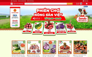 Thương mại điện tử giúp hộ kinh doanh trụ vững trong bão dịch
