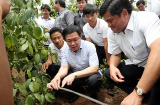 Gia Lai cần giải pháp khả thi thu hút vốn đầu tư
