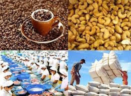 Xuất khẩu nông, lâm, thủy, sản giảm 5%