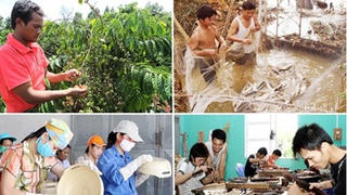 Hơn 831 nghìn hộ đoàn viên thanh niên vay vốn Ngân hàng Chính sách lập nghiệp
