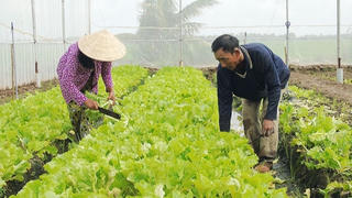 Ngày càng nhiều hộ đồng bào Khmer thoát nghèo