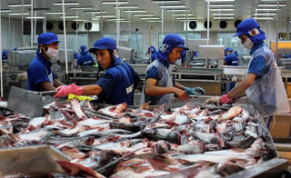 Tác động của AEC, TPP đến kinh tế, doanh nghiệp ĐBSCL