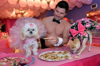 Chi 6.000 bảng Anh để tổ chức tiệc cho cún cưng