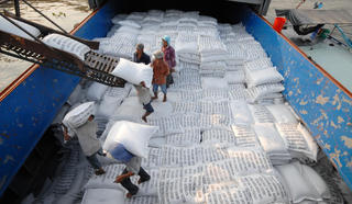 Hạt gạo Việt Nam trên đường đến ngôi đầu 