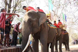 Buôn Đôn vào hội