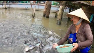 Những người ’nuôi’ cả dòng sông