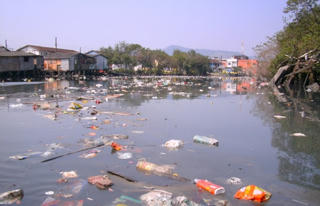 Ngăn ngừa ô nhiễm: Xác định rõ nguyên nhân