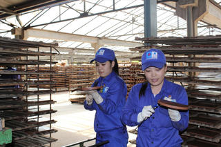 Mong manh tổ ấm công nhân