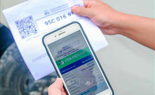 Gia hạn giấy ‘luồng xanh’ vận tải