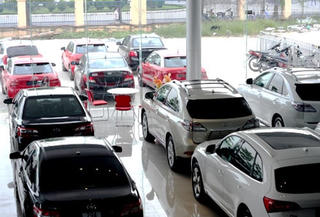 Chờ giảm thuế để tậu xe