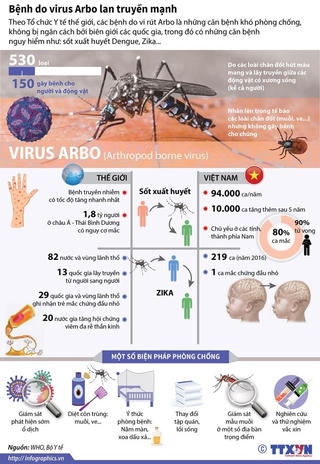 [Infographics] Bệnh do virus Arbo đang lan truyền mạnh