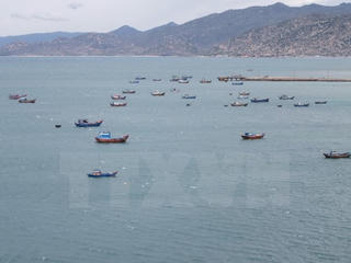 Cảnh sát Brunei bắt giữ một tàu cá Việt Nam cùng 10 thủy thủ